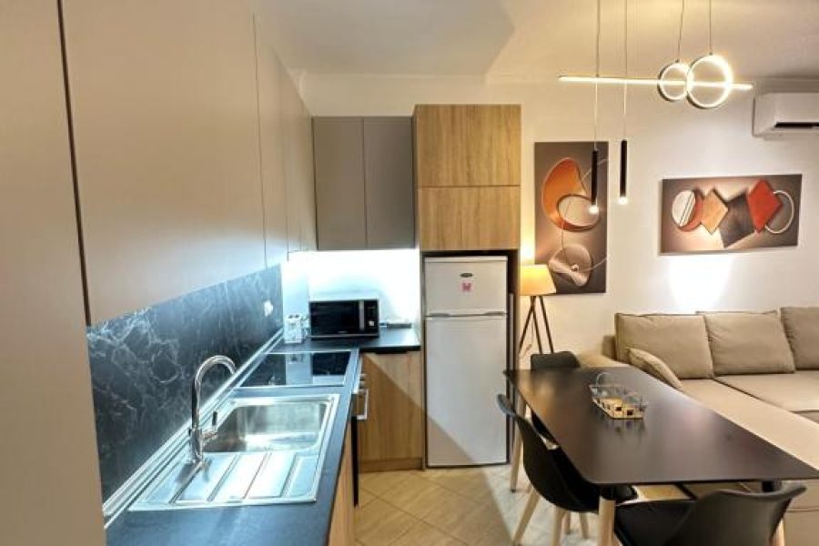 DeLux Apartment (by Mishel)