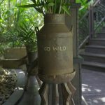 a potted plant sitting on top of a wooden stand