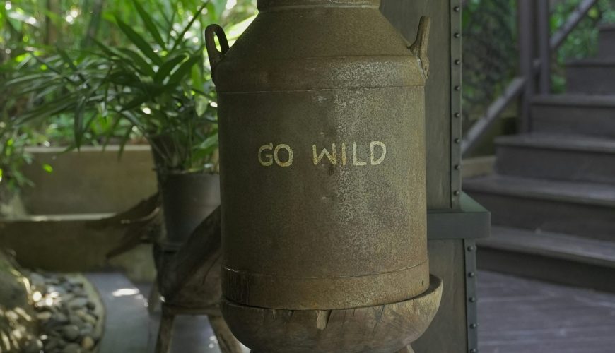 a potted plant sitting on top of a wooden stand