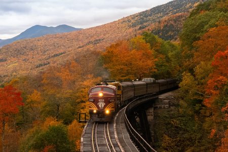 orange train between fall trees