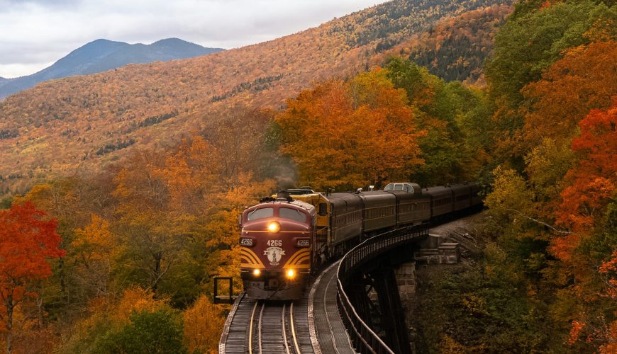 orange train between fall trees